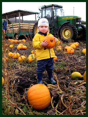 Pumpkinfest at Galey Farms